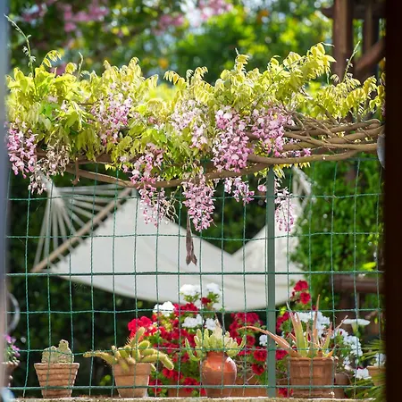 La Casa Nel Giardino Piano di Sorrento